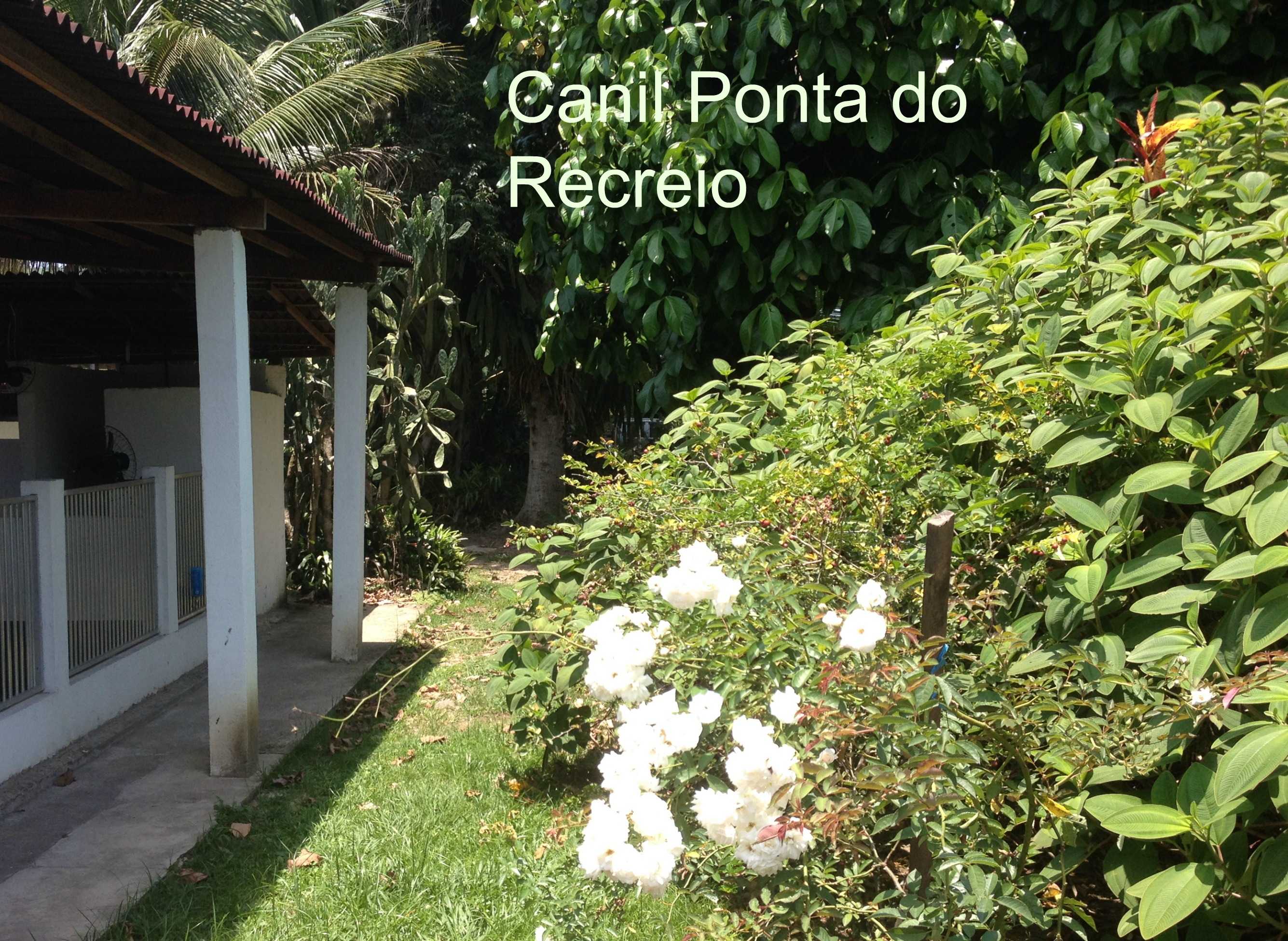 Fotos no canil