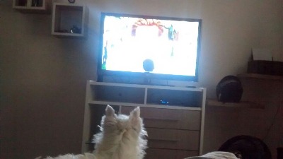 PENÉLOPE ADORA VER TV!!