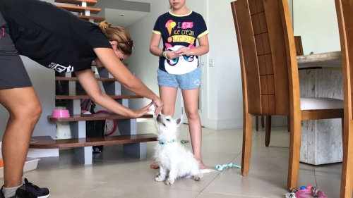 Filhotes com seus novos donos